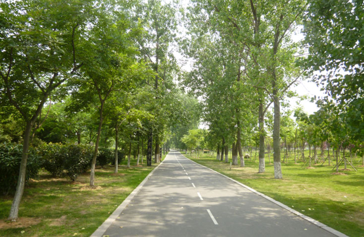 六安市河西景觀帶休閑健身 六安市河西景觀帶休閑健身