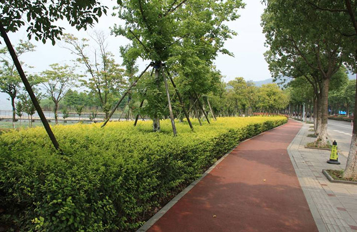 東錢湖景區(qū)綠地 東錢湖景區(qū)綠地